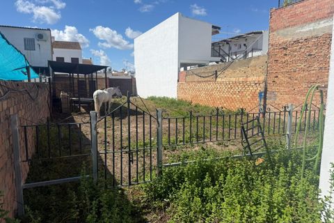 Villa a Almonte, Huelva, Almonte - € 1.900.000 | Ref: 14155-MJC/2912 - foto 7