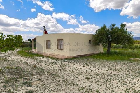 Landejendom i Sax, Alicante, Sax - € 110.000 | Ref: CAS_1637 - foto 47