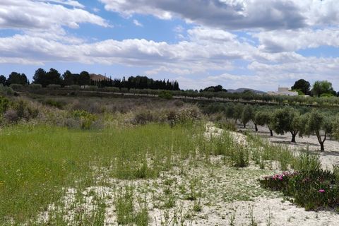 Landejendom i Sax, Alicante, Sax - € 110.000 | Ref: CAS_1637 - foto 49