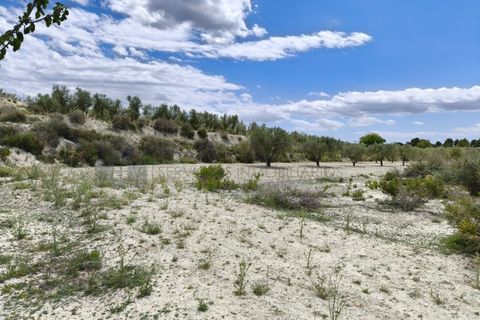 Landejendom i Sax, Alicante, Sax - € 110.000 | Ref: CAS_1637 - foto 50