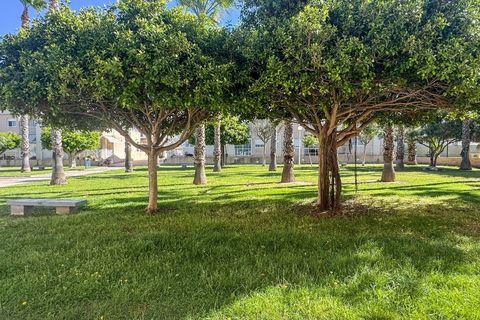 Dupleks i Torrevieja, Alicante, Torrevieja - € 169 900 | Ref: 779667 - foto 10