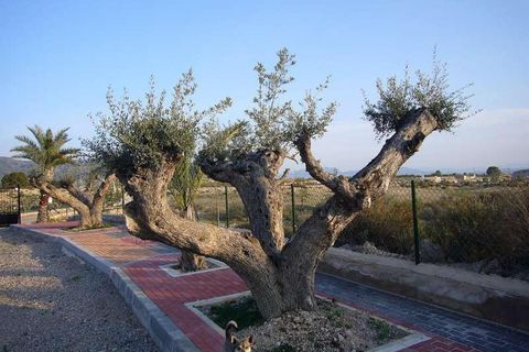 Villa i Abanilla, Murcia, Abanilla - € 297.000 | Ref: GM2466 - foto 16