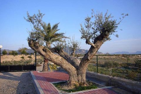 Villa i Abanilla, Murcia, Abanilla - € 297.000 | Ref: GM2466 - foto 28