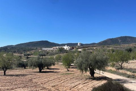 Cave house i Raspay, Murcia, Raspay - € 135.995 | Ref: RBMP6530 - foto 15