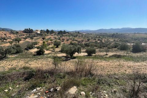 Cave house i Raspay, Murcia, Raspay - € 135.995 | Ref: RBMP6530 - foto 39