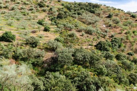 Helårsgrund i Sedella, Malaga, Sedella - € 144.000 | Ref: P264 - foto 6