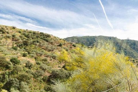 Helårsgrund i Sedella, Malaga, Sedella - € 144.000 | Ref: P264 - foto 8