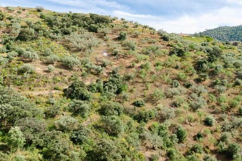 Helårsgrund i Sedella, Malaga, Sedella - € 144.000 | Ref: P264 - foto 10
