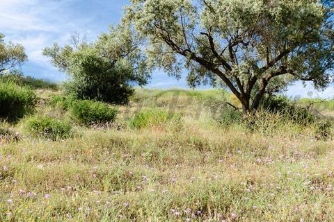 Helårsgrund i Sedella, Malaga, Sedella - € 144.000 | Ref: P264 - foto 11