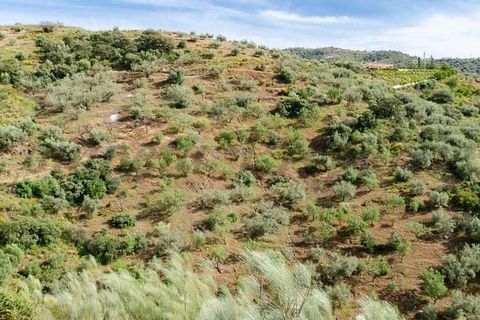 Helårsgrund i Sedella, Malaga, Sedella - € 144.000 | Ref: P264 - foto 12