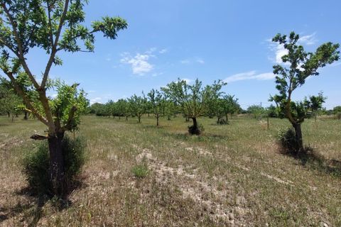 Helårsgrund i Inca, Mallorca, Inca - € 95.000 | Ref: 33000002_GC/11003 - foto 2