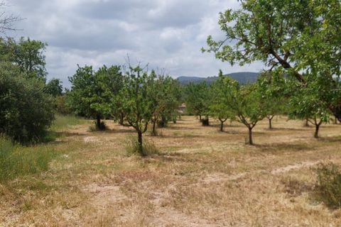 Helårsgrund i Inca, Mallorca, Inca - € 95.000 | Ref: 33000002_GC/11003 - foto 3