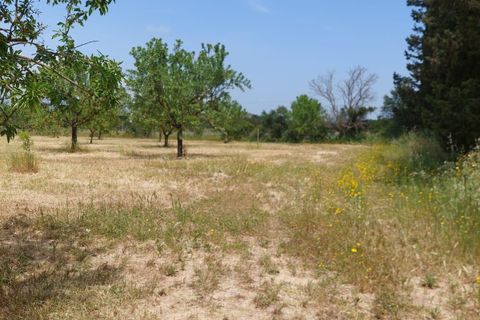 Helårsgrund i Inca, Mallorca, Inca - € 95.000 | Ref: 33000002_GC/11003 - foto 4