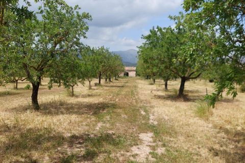 Helårsgrund i Inca, Mallorca, Inca - € 95.000 | Ref: 33000002_GC/11003 - foto 5