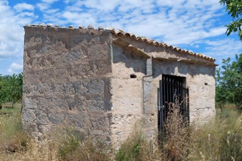 Helårsgrund i Inca, Mallorca, Inca - € 95.000 | Ref: 33000002_GC/11003 - foto 6