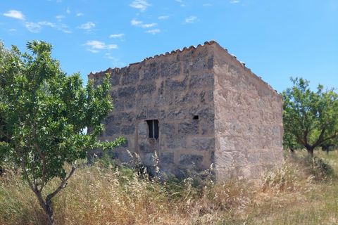Helårsgrund i Inca, Mallorca, Inca - € 95.000 | Ref: 33000002_GC/11003 - foto 8