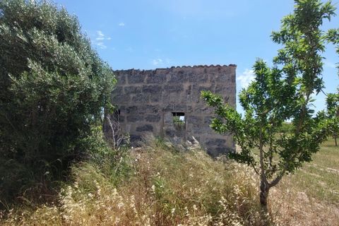 Helårsgrund i Inca, Mallorca, Inca - € 95.000 | Ref: 33000002_GC/11003 - foto 9