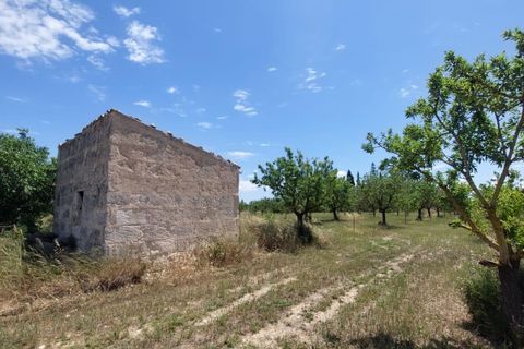 Helårsgrund i Inca, Mallorca, Inca - € 95.000 | Ref: 33000002_GC/11003 - foto 10