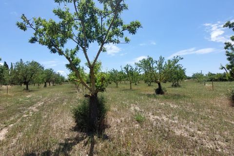 Helårsgrund i Inca, Mallorca, Inca - € 95.000 | Ref: 33000002_GC/11003 - foto 11