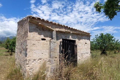 Helårsgrund i Inca, Mallorca, Inca - € 95.000 | Ref: 33000002_GC/11003 - foto 12
