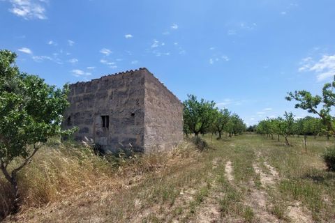 Helårsgrund i Inca, Mallorca, Inca - € 95.000 | Ref: 33000002_GC/11003 - foto 13