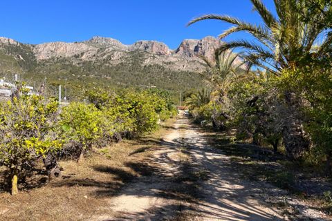 Terra a Polop, Alicante, Polop - € 175.000 | Ref: 5483 C - foto 4