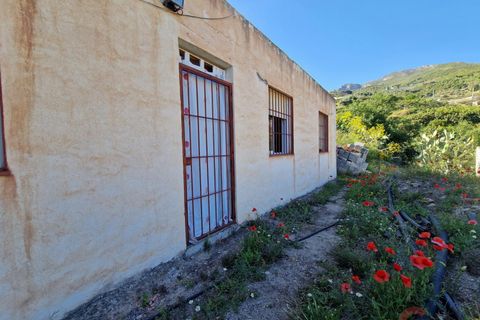 Finca i Itrabo, Granada, Itrabo - € 254.500 | Ref: M726 - foto 9