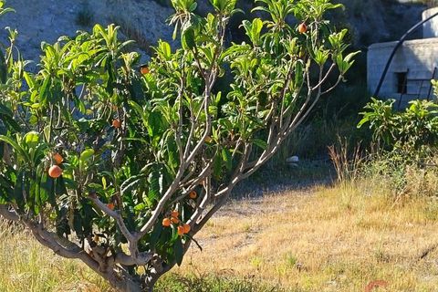 Finca i Itrabo, Granada, Itrabo - € 254.500 | Ref: M726 - foto 14