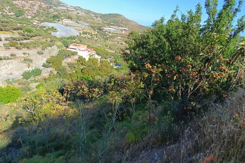 Finca i Itrabo, Granada, Itrabo - € 254.500 | Ref: M726 - foto 17