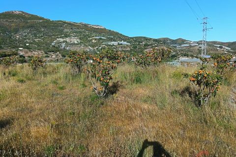 Finca i Itrabo, Granada, Itrabo - € 254.500 | Ref: M726 - foto 19