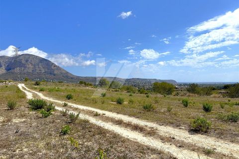 Terra a Denia, Alicante, Denia - € 220.000 | Ref: P43028* - foto 2