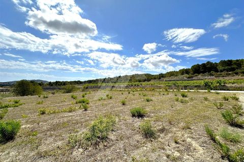 Terra a Denia, Alicante, Denia - € 220.000 | Ref: P43028* - foto 4
