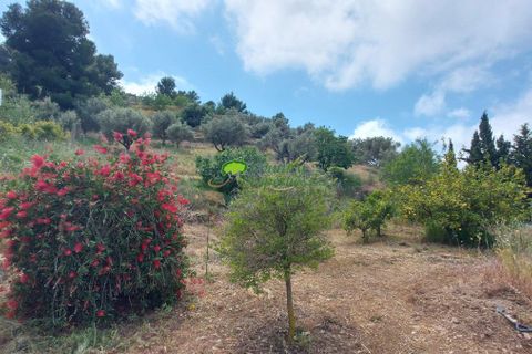 Landejendom i Torrox, Malaga, Torrox - € 475.000 | Ref: 8012 - foto 23