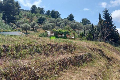 Landejendom i Torrox, Malaga, Torrox - € 475.000 | Ref: 8012 - foto 26