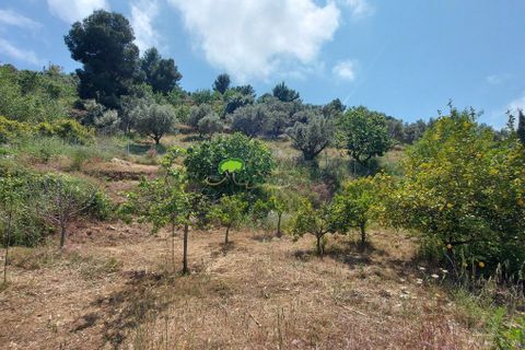 Landejendom i Torrox, Malaga, Torrox - € 475.000 | Ref: 8012 - foto 34