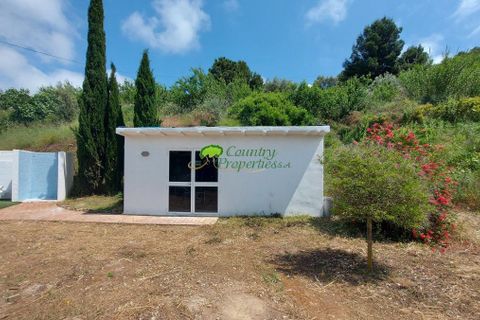 Landejendom i Torrox, Malaga, Torrox - € 475.000 | Ref: 8012 - foto 38