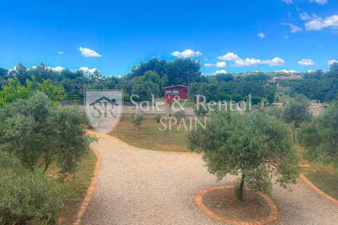 Villa a Montserrat, Valencia, Montserrat - € 595.000 | Ref: 2561 - foto 35