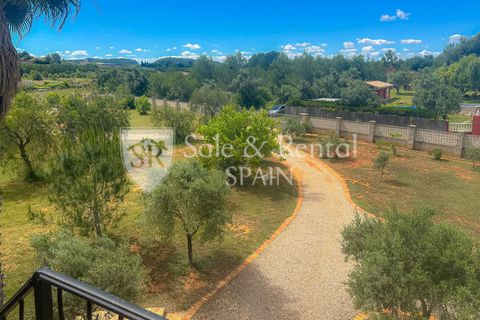 Villa a Montserrat, Valencia, Montserrat - € 595.000 | Ref: 2561 - foto 39