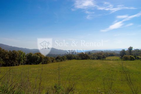 Landejendom i Tossa De Mar, Gerona, Tossa De Mar - € 1.790.000 | Ref: 2559 - foto 2