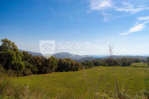 Landejendom i Tossa De Mar, Gerona, Tossa De Mar - € 1.790.000 | Ref: 2559 - foto 4