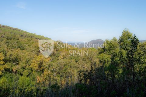 Landejendom i Tossa De Mar, Gerona, Tossa De Mar - € 1.790.000 | Ref: 2559 - foto 13
