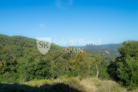 Landejendom i Tossa De Mar, Gerona, Tossa De Mar - € 1.790.000 | Ref: 2559 - foto 19