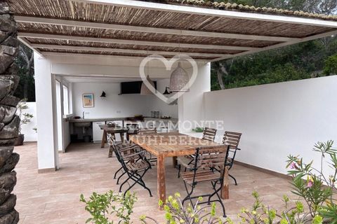 Villa i San Carlos De Peralta, Ibiza - foto 5