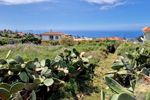 Grundstück in El Sauzal, Tenerife - Foto 3