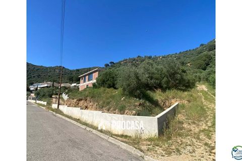 Villa a Pau, Gerona, Pau - € 995.000 | Ref: 4283 - foto 11