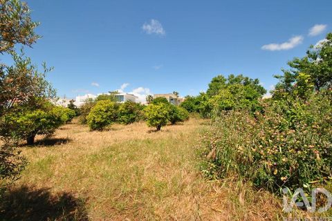 Helårsgrund i Albufeira, Faro, Albufeira - € 1.500.000 | Ref: 906669 - foto 6