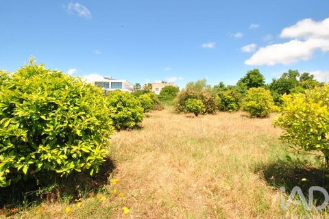 Helårsgrund i Albufeira, Faro, Albufeira - € 1.500.000 | Ref: 906669 - foto 24