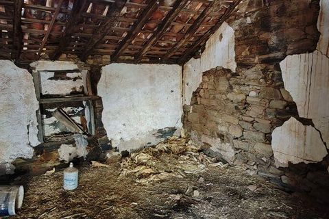 Byhus i Serta, Castelo Branco, Serta - € 5.900 | Ref: 909983 - foto 6