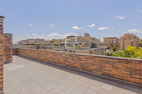 Lejlighed i Madrid, Madrid, Madrid - € 1.860.000 | Ref: POZ69523 - foto 42