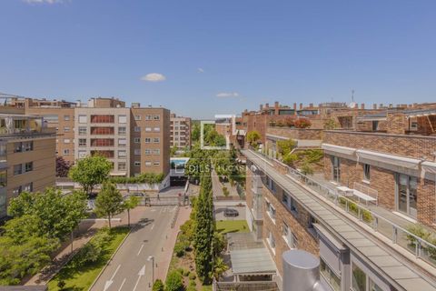 Lejlighed i Madrid, Madrid, Madrid - € 1.860.000 | Ref: POZ69523 - foto 43
